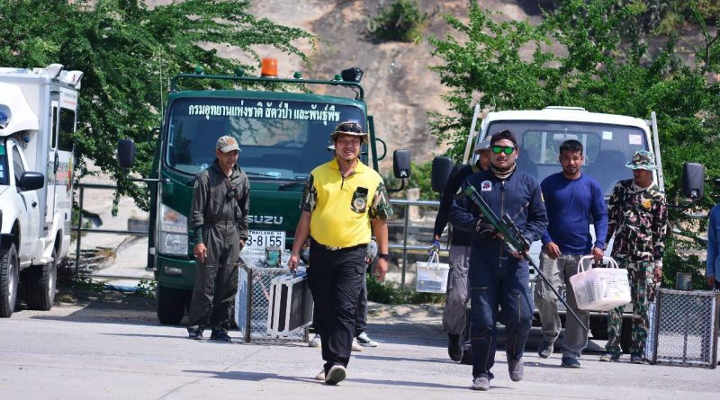 กรมอุทยานฯ ร่วมกับเทศบาลเมืองหัวหิน เปิดยุทธการจับลิงแสม ย้ายไปที่พักพิงแห่งใหม่